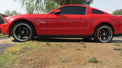 edited mustang.jpg