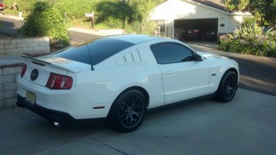 Louvers3.jpg