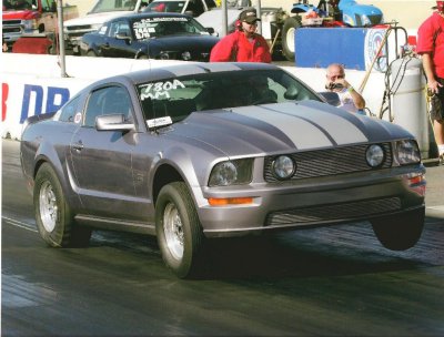 car2 (Large).jpg
