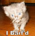 imagebarf.jpg