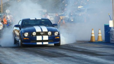 DSC03820 (Large).JPG