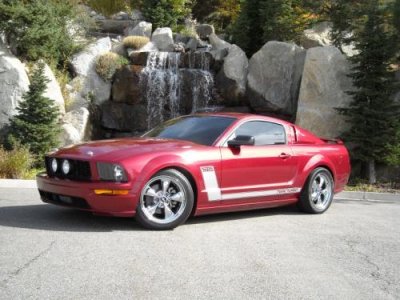 stang08c.jpg