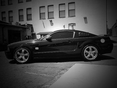 blackmustang.jpg