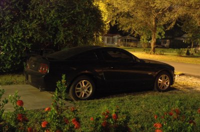 DSC_3667.jpg