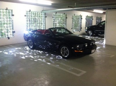stang 1.jpg stang 1.jpg