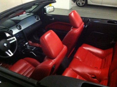stang 3.jpg