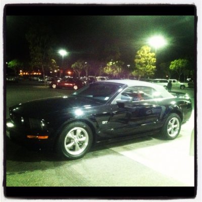 stang 4.jpg stang 4.jpg