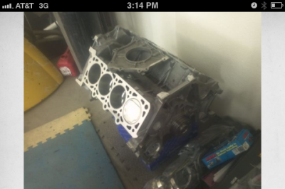 image (1).png