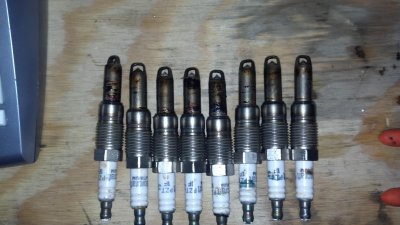 2013-02-07_08-09-16_311.jpg