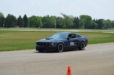 mustang blue.jpg mustang blue.jpg