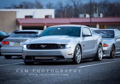 stang8psi.jpg