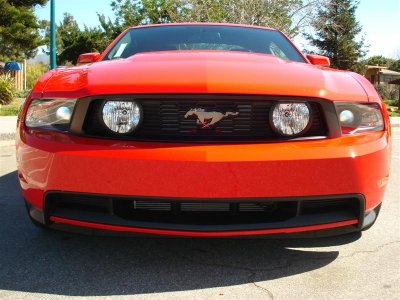 trip 2012 010 (Medium).jpg