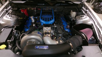 WP_20130511_002.jpg