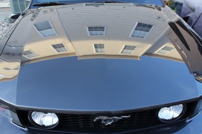 IMG_0955.JPG IMG_0955.JPG