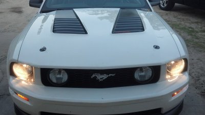 IMG_20130527_200831_561.jpg