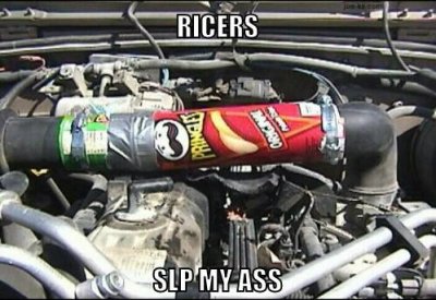 ricer cai.jpg