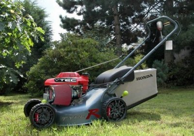 ricer.jpg