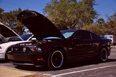 DSC_0719_zps6172e7d8.jpg