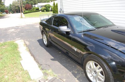 MUSTANG 003.jpg
