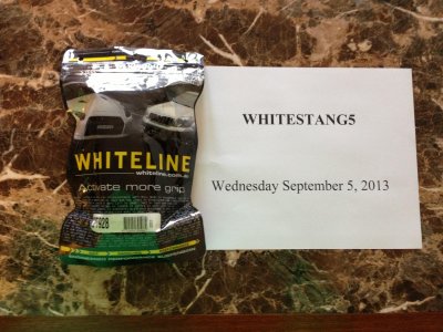 Whitestang5-1.jpg