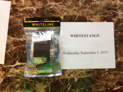 Whitestang5-2.jpg