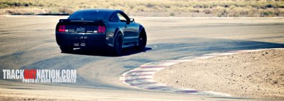 SaleenSig1.jpg