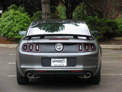 13 Rear.jpg