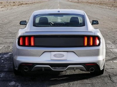 15 Rear.jpg
