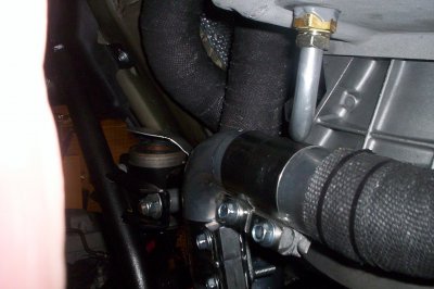 100_9061.JPG