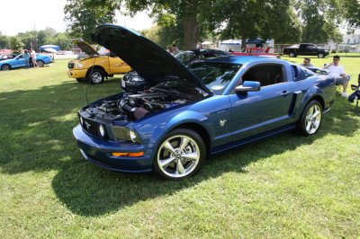 Borger Mustang 3.jpg