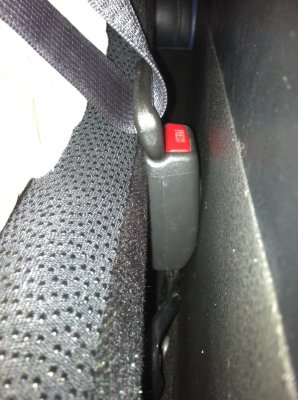 seat belt.JPG