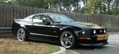 Fall Stang.jpg
