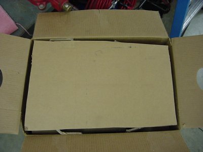 2011 orx 004.JPG