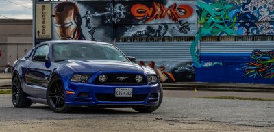 DSC_4392.jpg