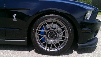IMAG0245-1.jpg