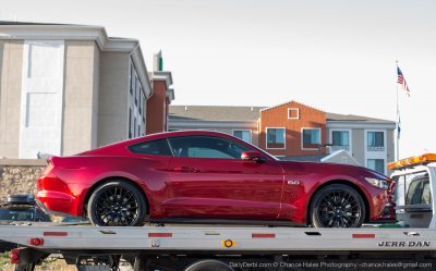 rubyredmustang3.jpg