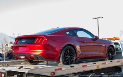 rubyredmustang6.jpg