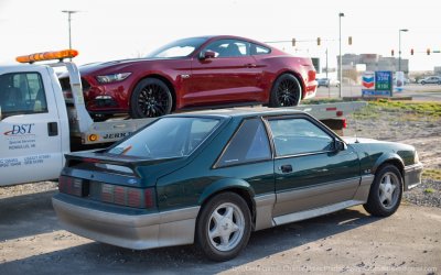 rubyredmustang10.jpg