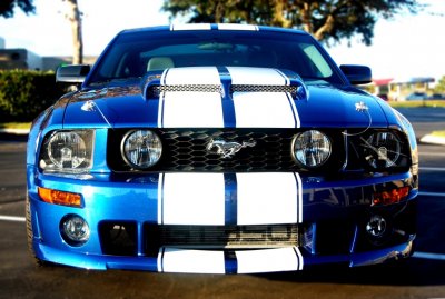 Mustang (16).JPG