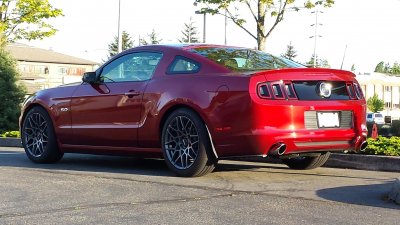 2014 Mustang GT Steeda Sports GT500 19 inch Rims.jpg