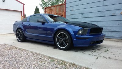 Mustang 5.jpg