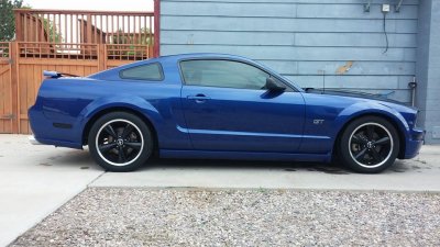 Mustang 1.jpg
