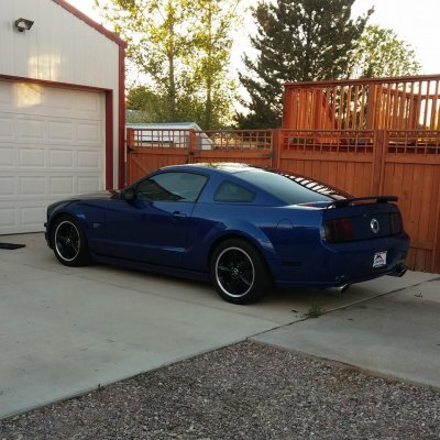 Stang.jpg