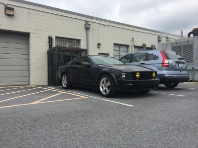Mustang Pic.jpg