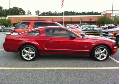 the mustang.jpg