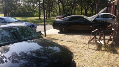 20140810_094325.jpg