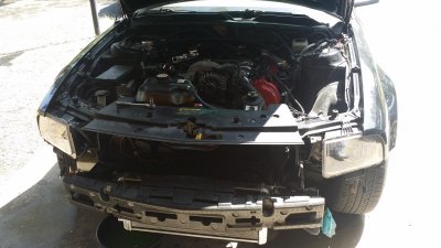 20140810_113017.jpg