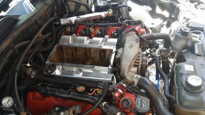 20140810_113037.jpg