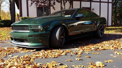 Bullitt Leaves.jpg