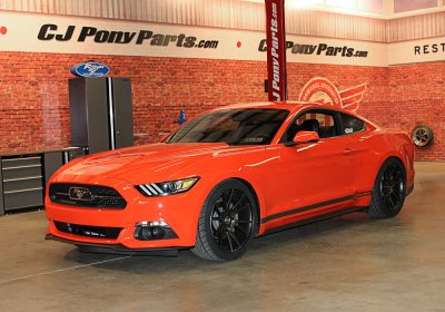 CJPonyParts_141205_1286.jpg